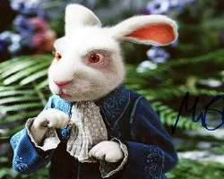 The actor has also done voice roles and is known for providing voices in the film 'Alice in Wonderland'.